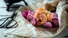 Desktop wallpaper. Flowers. ID:148369