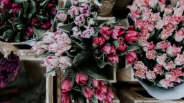 Desktop wallpaper. Flowers. ID:148405