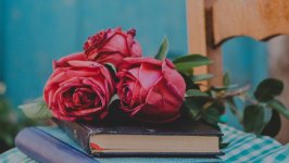 Desktop wallpaper. Flowers. ID:149140