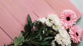 Desktop wallpaper. Flowers. ID:149287