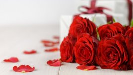 Desktop wallpaper. Flowers. ID:151301