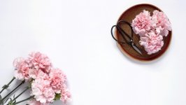 Desktop wallpaper. Flowers. ID:152474