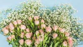 Desktop wallpaper. Flowers. ID:153038
