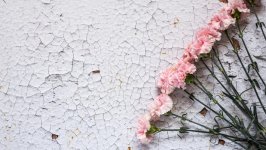 Desktop wallpaper. Flowers. ID:159613