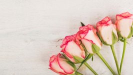 Desktop wallpaper. Flowers. ID:160742
