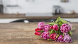 Desktop image. Flowers. ID:161007