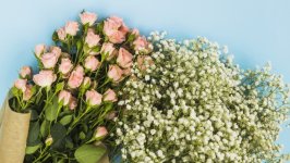Desktop image. Flowers. ID:161133