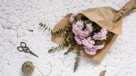 Desktop wallpaper. Flowers. ID:164346