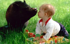 Desktop wallpaper. Babies. ID:2613