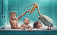 Desktop wallpaper. Babies. ID:50831