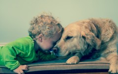 Desktop wallpaper. Babies. ID:50982