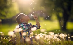 Desktop wallpaper. Babies. ID:52616