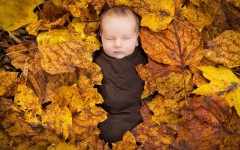 Desktop wallpaper. Babies. ID:62095