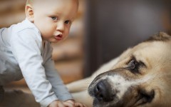 Desktop wallpaper. Babies. ID:62111