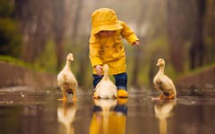 Desktop wallpaper. Babies. ID:64869