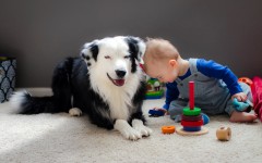 Desktop wallpaper. Babies. ID:81836