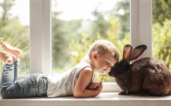 Desktop wallpaper. Babies. ID:81975
