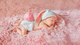 Desktop image. Babies. ID:92522