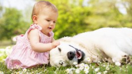 Desktop wallpaper. Babies. ID:94501