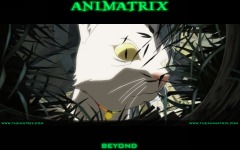 Desktop wallpaper. Animatrix, The. ID:5390