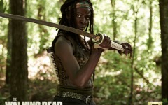 Desktop wallpaper. Walking Dead: Season 4, The. ID:49608