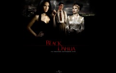 Desktop wallpaper. Black Dahlia, The. ID:5405