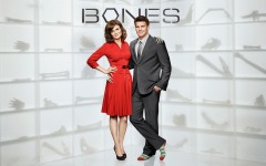 Desktop wallpaper. Bones. ID:49804