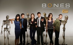 Desktop wallpaper. Bones. ID:49806