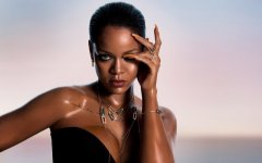 Desktop wallpaper. Rihanna. ID:92375