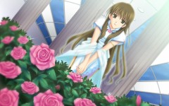 Desktop wallpaper. Anime. ID:31906