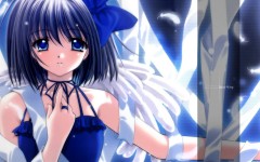 Desktop wallpaper. Anime. ID:31955