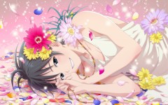 Desktop wallpaper. Anime. ID:32029