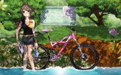 Desktop wallpaper. Anime. ID:32657