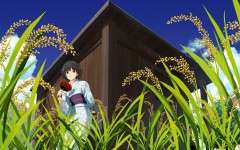 Desktop wallpaper. Anime. ID:32773