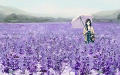 Desktop wallpaper. Anime. ID:32955
