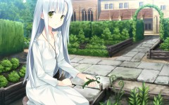 Desktop image. Anime. ID:33052
