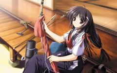 Desktop wallpaper. Anime. ID:33672