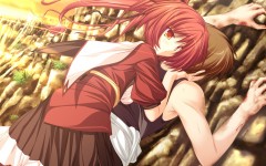 Desktop wallpaper. Anime. ID:33716