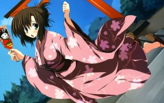 Desktop wallpaper. Anime. ID:33782