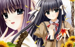 Desktop wallpaper. Anime. ID:33979