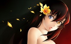 Desktop wallpaper. Anime. ID:50039