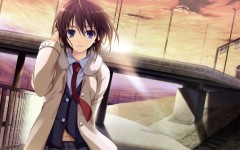 Desktop wallpaper. Anime. ID:88420