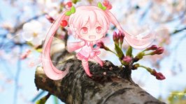 Desktop wallpaper. Sakura Miku