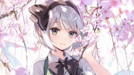 Desktop wallpaper. Konpaku Youmu