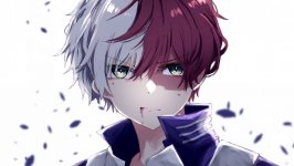 Desktop wallpaper. Shoto Todoroki