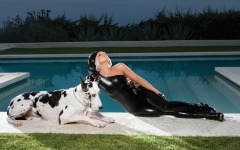 Desktop wallpaper. Lady Gaga. ID:51196