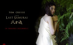 Desktop wallpaper. Last Samurai, The. ID:5542