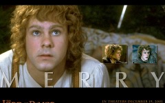 Desktop wallpaper. Lord of the Rings: The Fellowship of the Ring, The. ID:5974