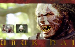 Desktop wallpaper. Lord of the Rings: The Fellowship of the Ring, The. ID:5981