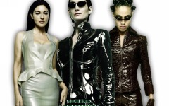 Desktop wallpaper. Matrix: Reloaded, The. ID:5588